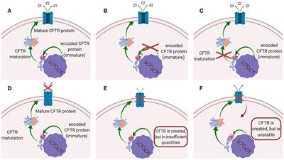 Nanomedicine Approaches for the Pulmonary Treatment of Cystic Fibrosis